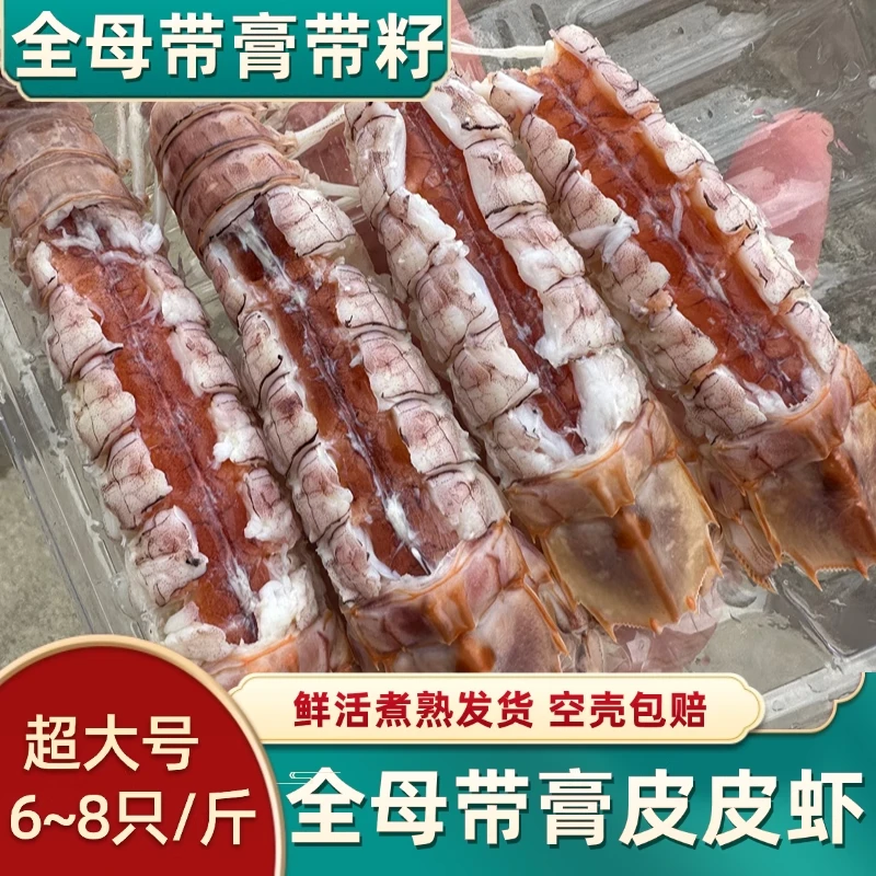 特大皮皮虾鲜活带膏全母带籽北海超大濑尿虾蒸熟发新鲜带黄虾爬子