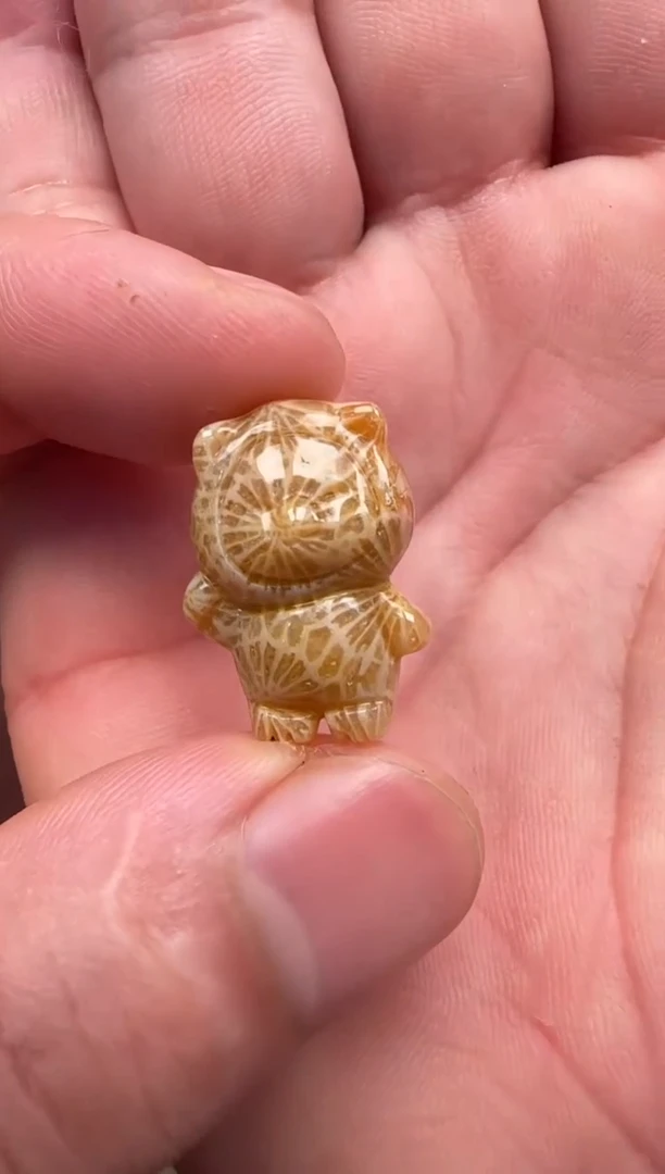 硅化珊瑚（珊瑚玉）未镶嵌颈饰522