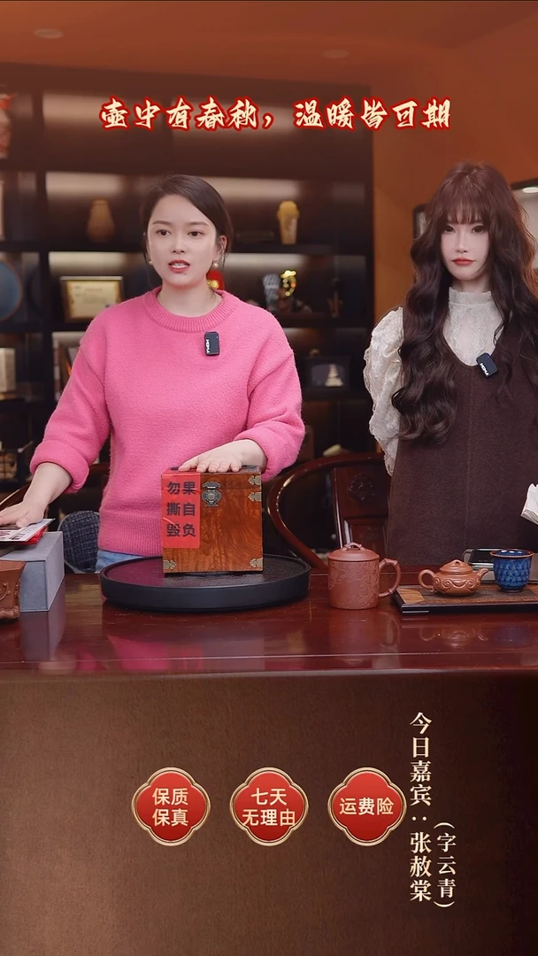 茶壶紫砂张赦棠  提梁112 大红袍 280毫升 配花盆