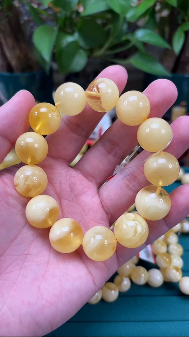 手链蜜蜡未镶嵌H53 金白妖花蜜蜡单圈 40.36克 17+mm