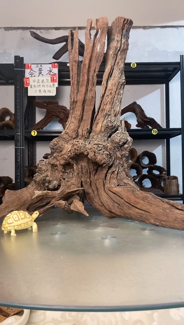 ?**没鱼缸爬宠造景素材450