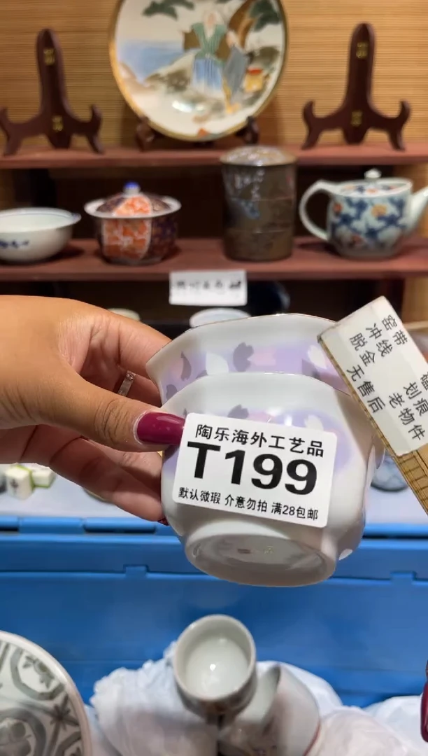 瓷片(****s             T199