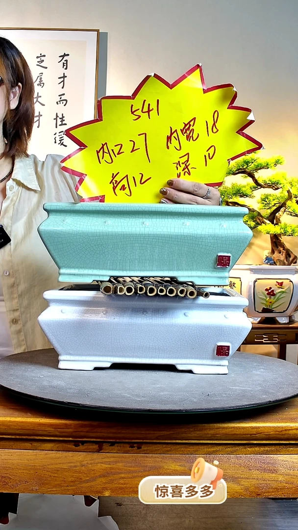 541一个白色一个青000000000000000000000000000000