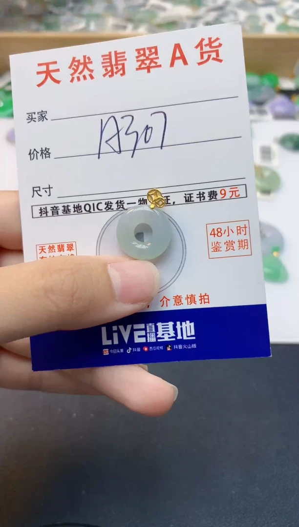 颈饰未镶嵌翡翠天然缅甸A货翡翠