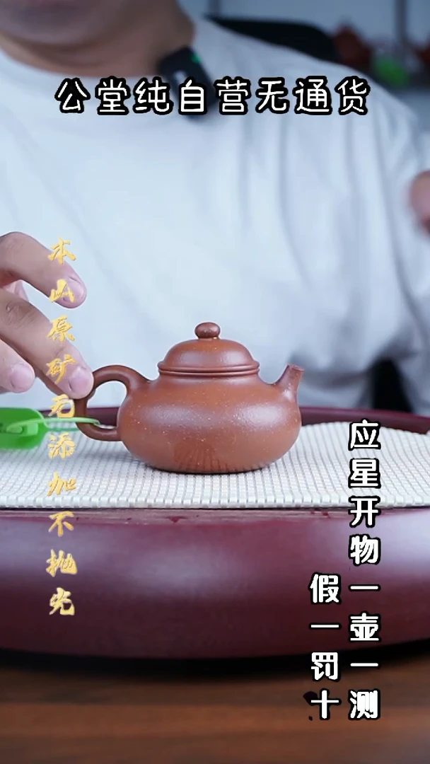 茶壶紫砂宝山红降坡 容天 170cc