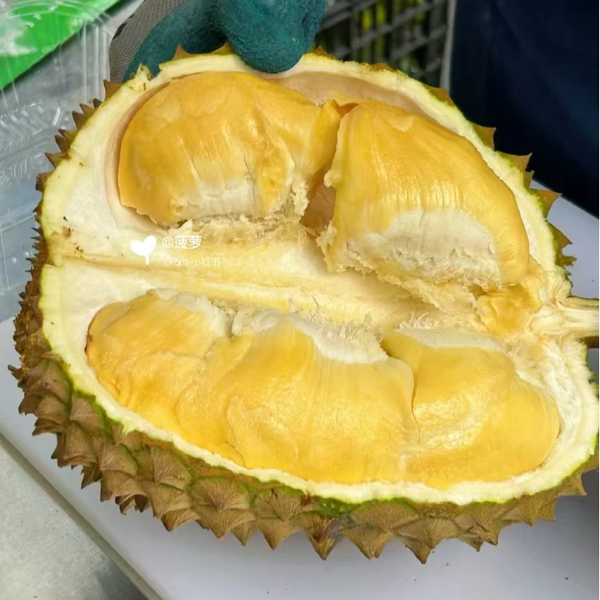 甲仑鲜榴莲一个（38元/斤核大需要扒请备注）甲仑泰国