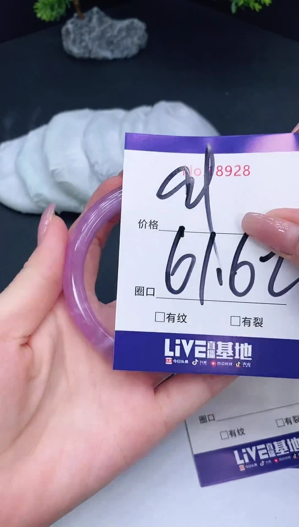 未镶嵌手镯翡翠18928