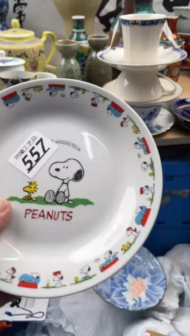 【闪购商品】瓷片557