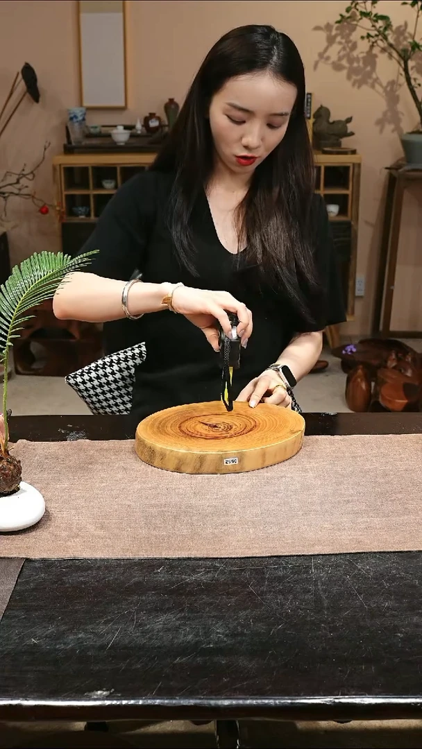 木香樟木原木切片干泡台0552