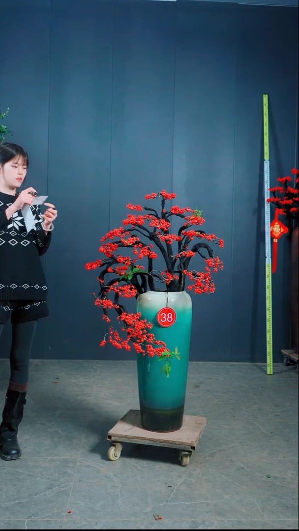 无花朵大**…北美冬青.38号