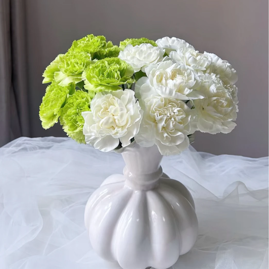 【云舍花卉】【薄荷冰】康乃馨20支全场满2单鲜花及以上包邮