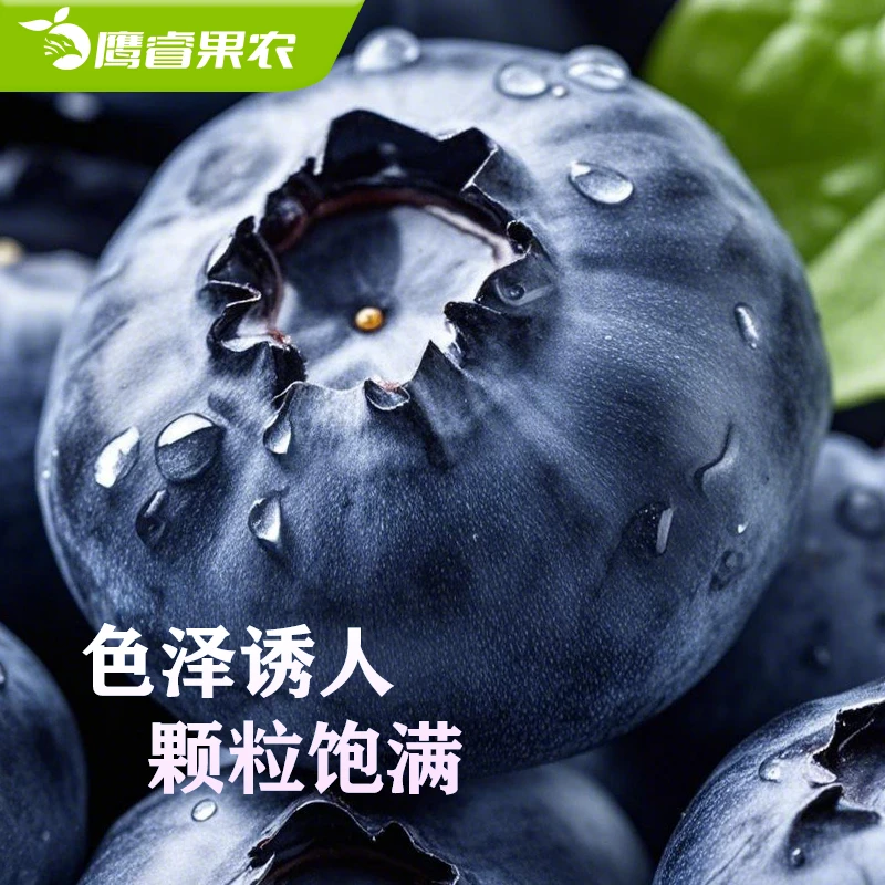 大凉山花香蓝莓特大果高山蓝莓鲜果现摘新鲜水果125g/盒