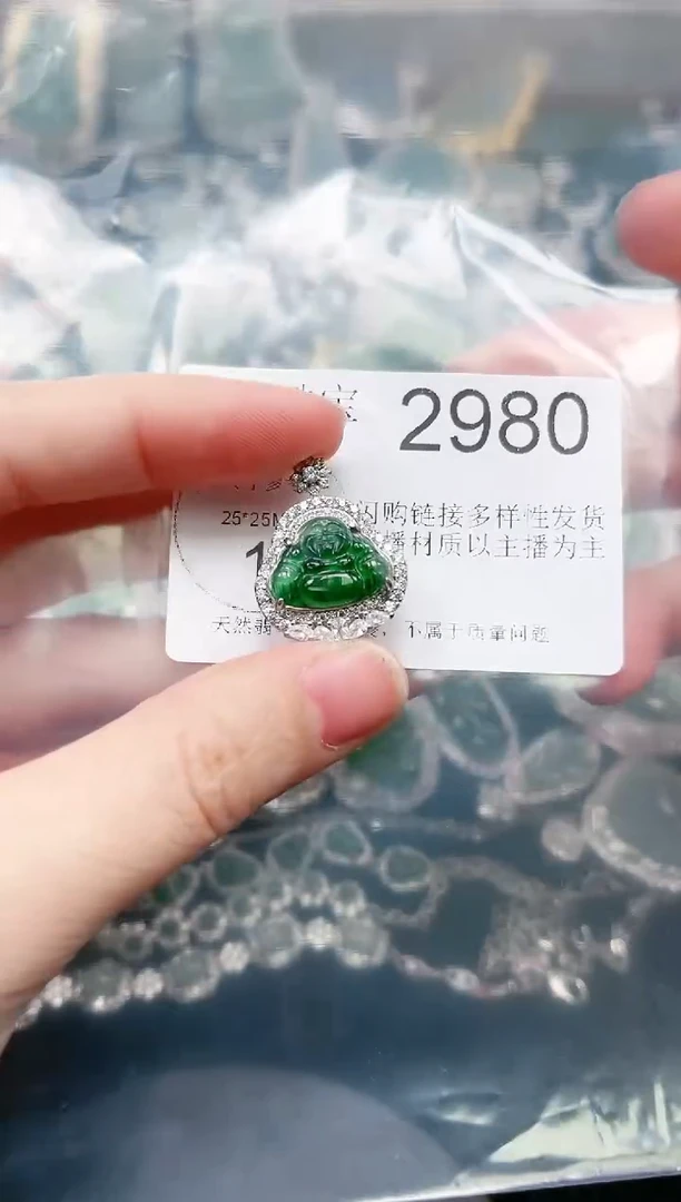 【闪购商品】翡翠颈饰未镶嵌赠皮绳2980