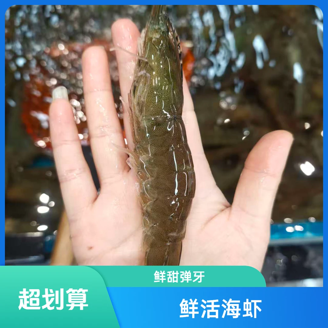 鲜活大海虾【老笨海鲜】到家保鲜不保活