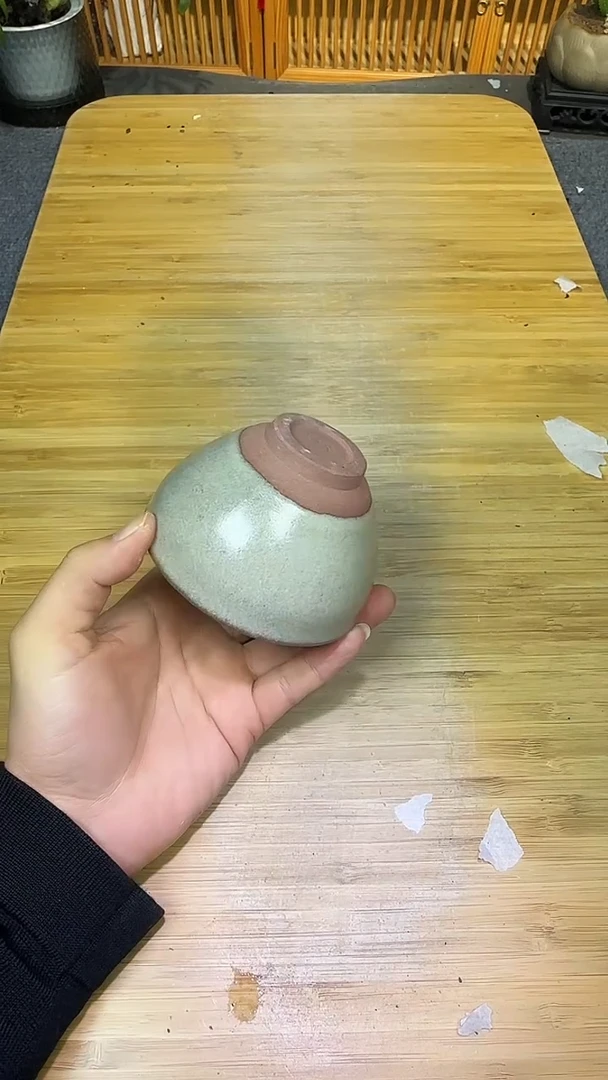 茶盏茶盏88888888888白贝