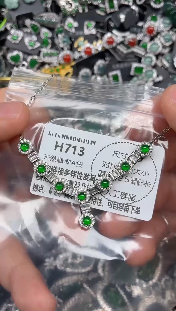 颈饰未镶嵌翡翠H713项链