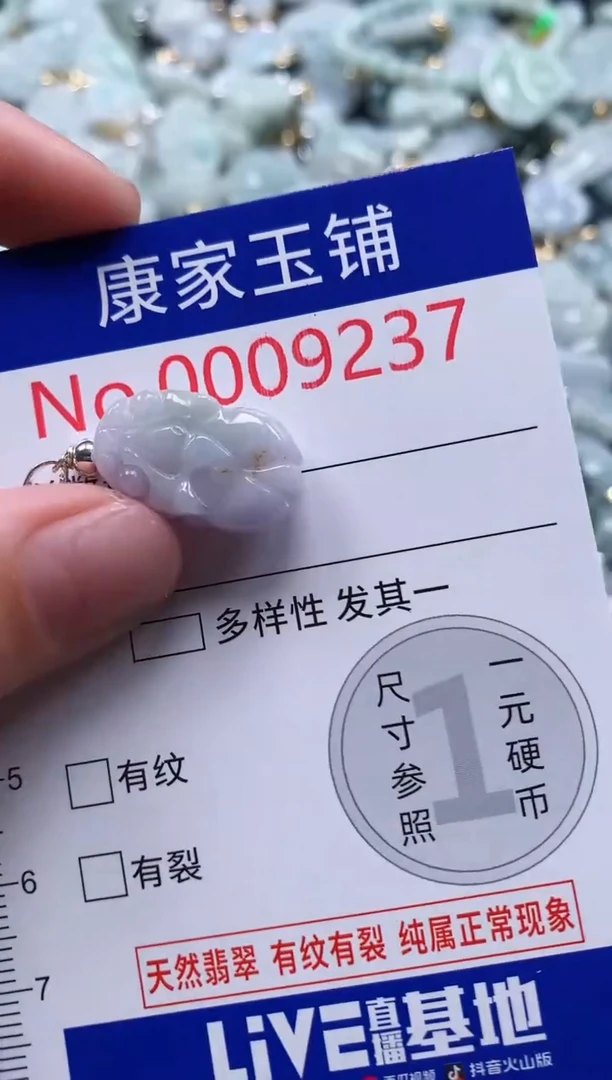 翡翠未镶嵌吊坠(不含链)9237