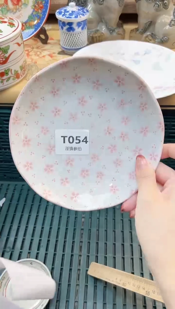 瓷片鲨*         54