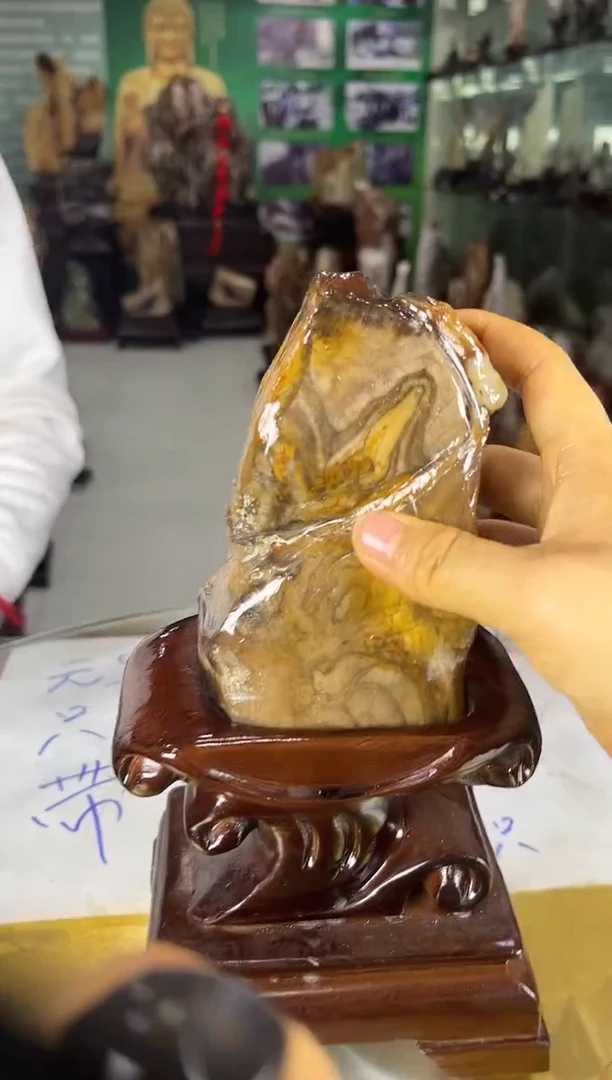 未镶嵌珠宝奇石硅化玉缅甸天然树化玉精品居家摆件