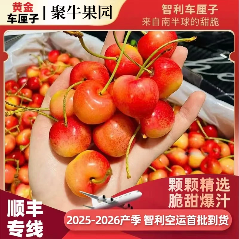 S1【顺丰】智利进口空运雷尼尔黄金车厘子J-5J&0.9-4.4斤内附果径卡