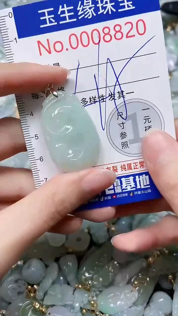 【闪购商品】翡翠颈饰未镶嵌闪购00008820