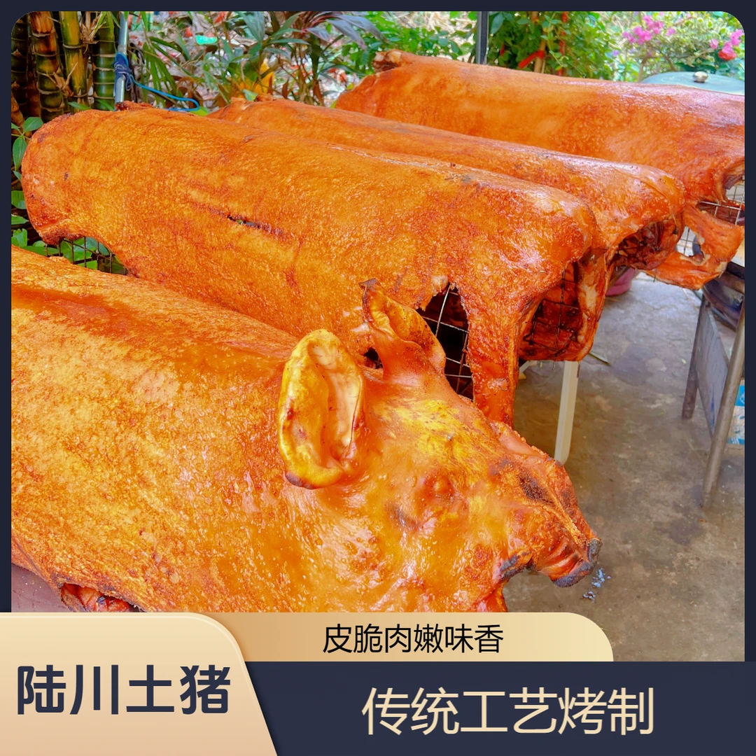陆川烤土猪买1斤送1斤到手两斤脆皮金黄整只烤猪加热即食抽真空发顺丰