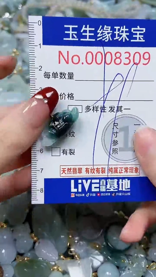 【闪购商品】翡翠颈饰未镶嵌闪购00008309