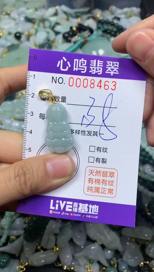 【闪购商品】翡翠颈饰未镶嵌闪购008463