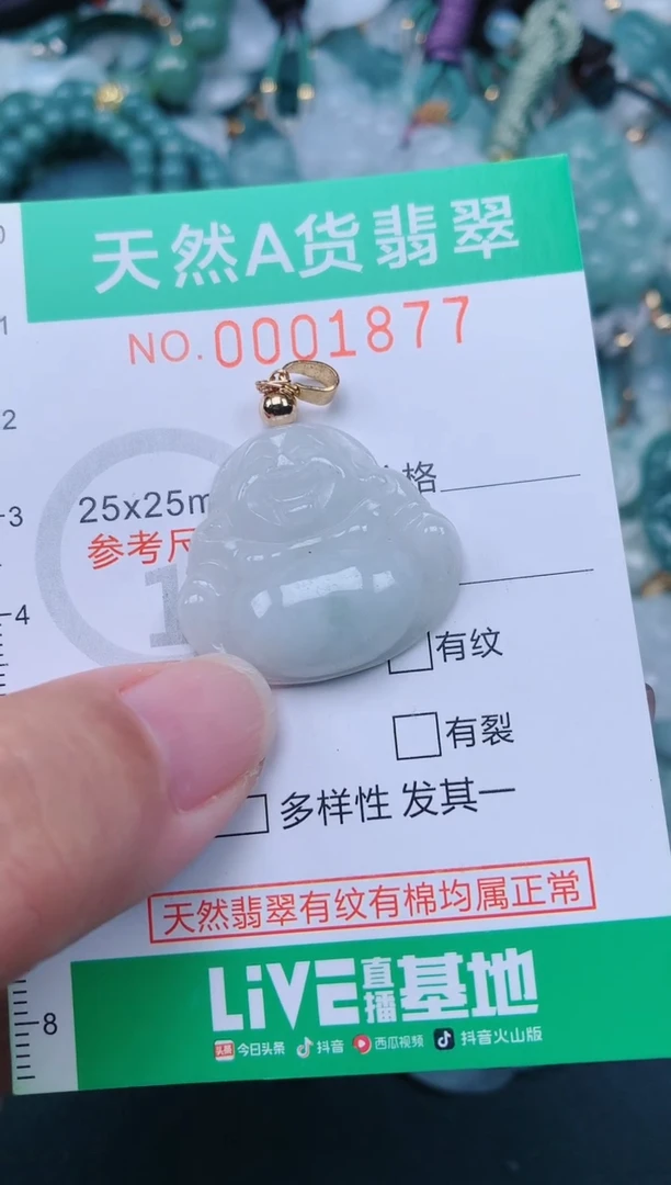 颈饰未镶嵌翡翠.0001877