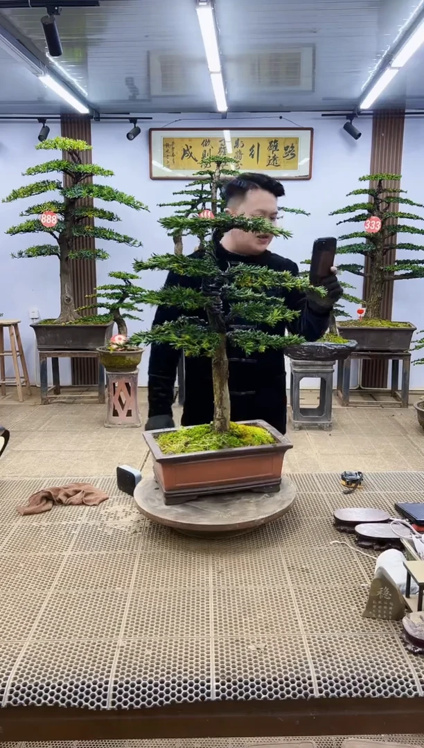 【闪购商品】00000000