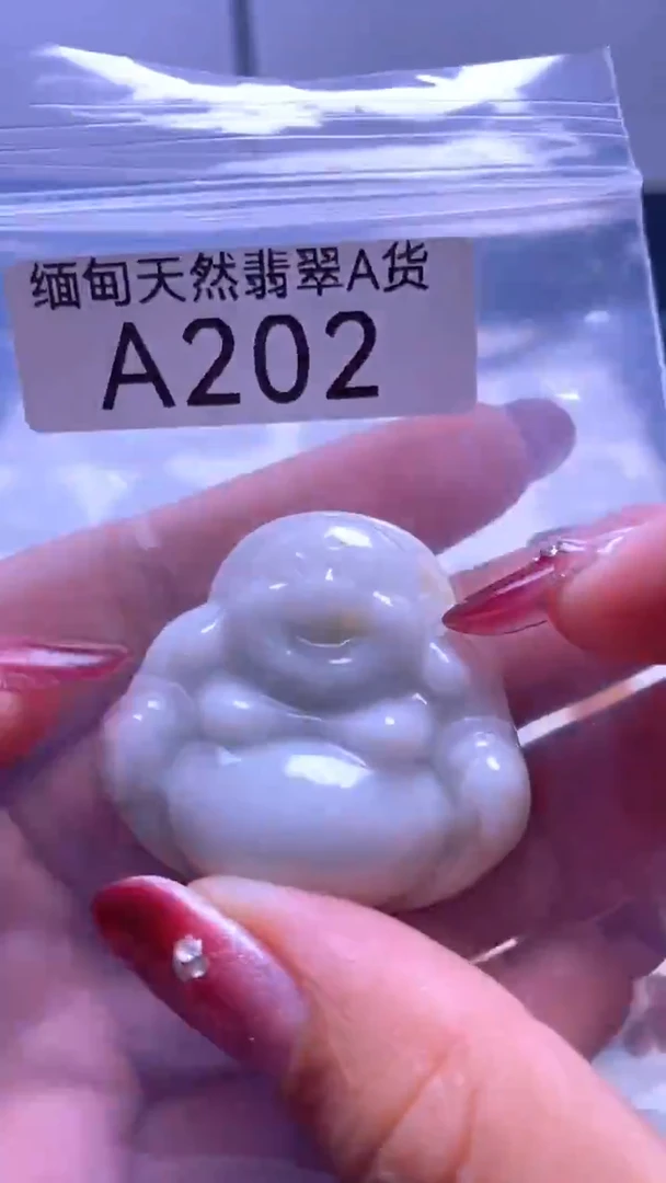 颈饰未镶嵌翡翠A202