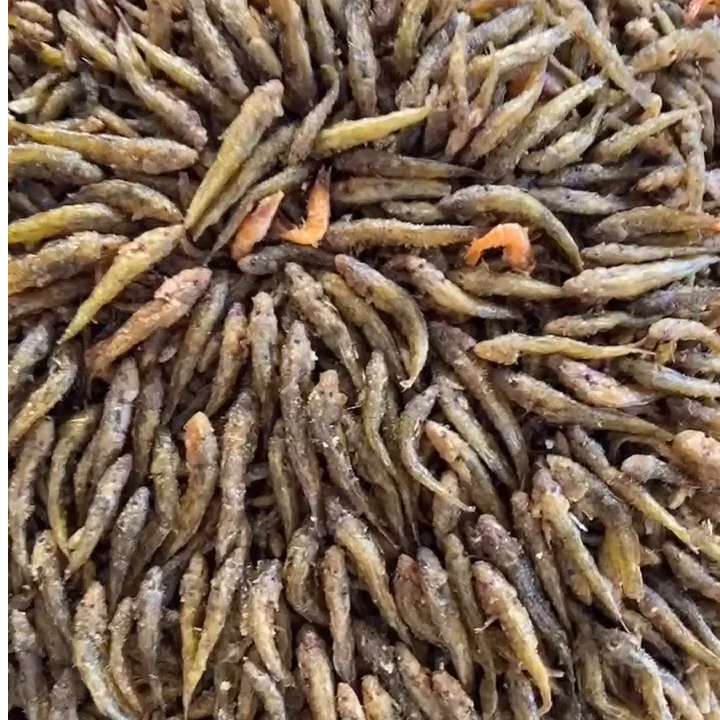 湖南邵阳油炸趴地虎麻乐乐本地小鱼仔