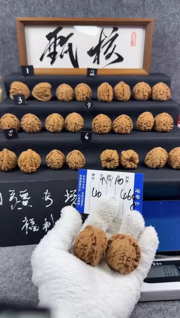 核桃N110涿鹿南疆石