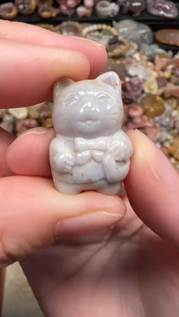颈饰未镶嵌硅化珊瑚（珊瑚玉）073