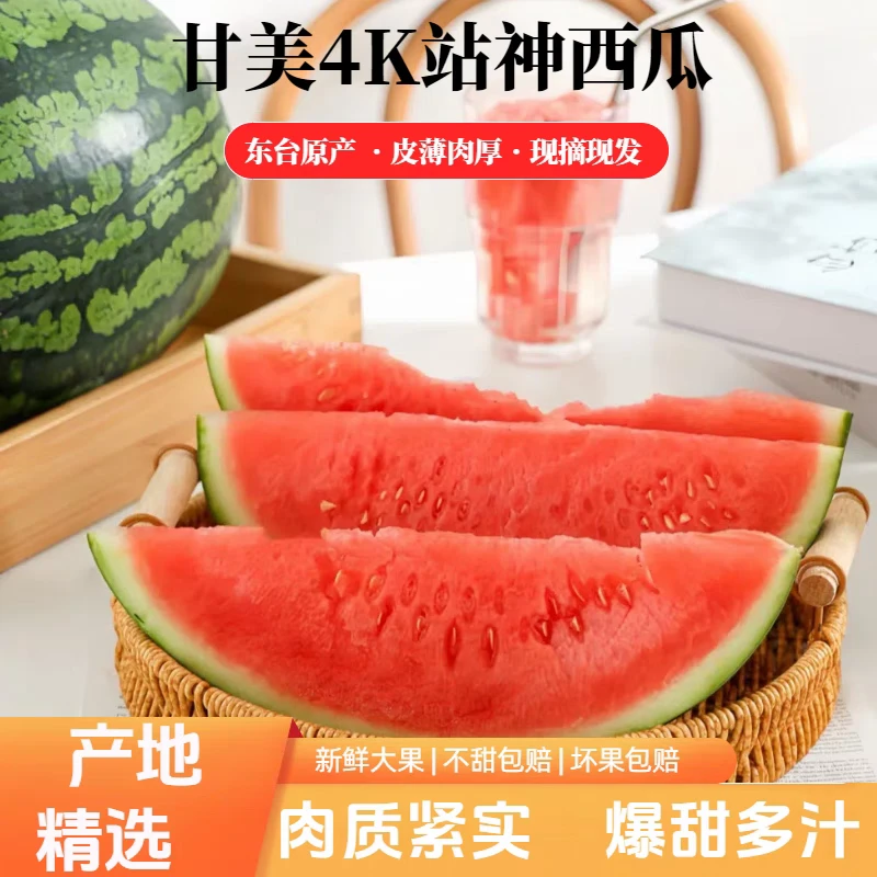 【老板推荐网红甘美】甘美四K网红西瓜一个6至7斤左右新鲜江苏省