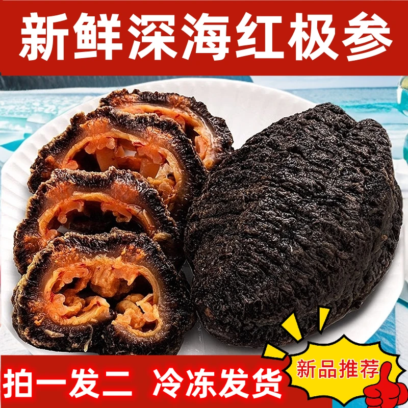 【抢】即食海参免泡发  北极红参 高营养 合适老人孩子 一斤4-6头