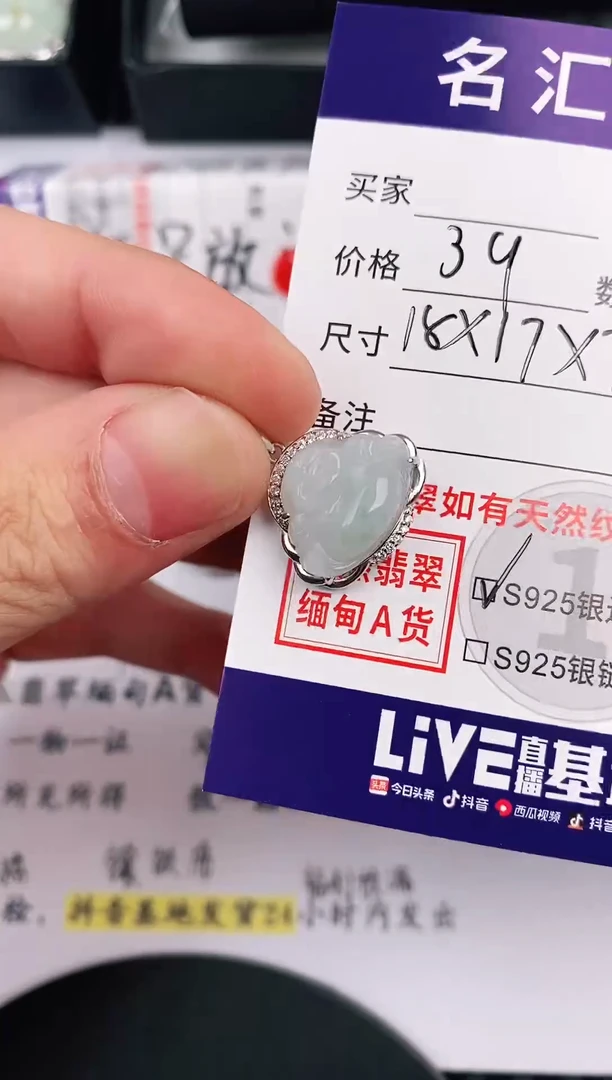 翡翠银S925镶嵌颈饰·