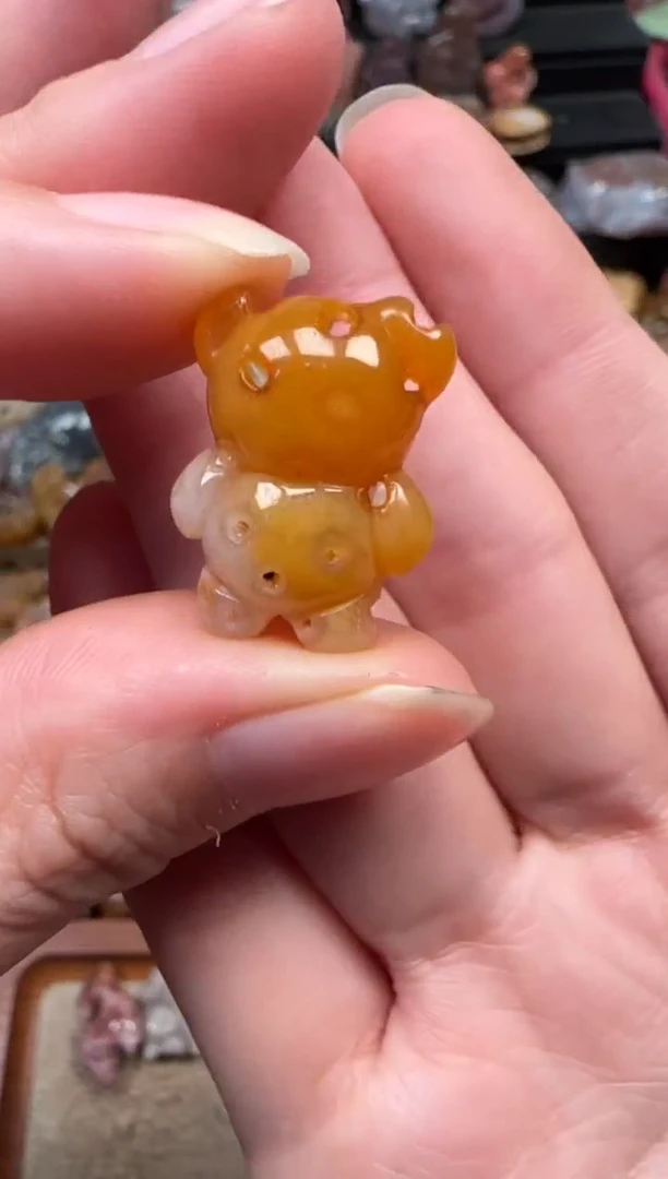 颈饰未镶嵌硅化珊瑚（珊瑚玉）650