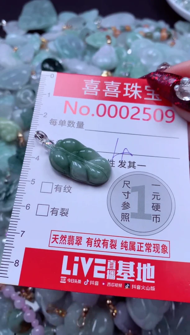 颈饰未镶嵌翡翠2509