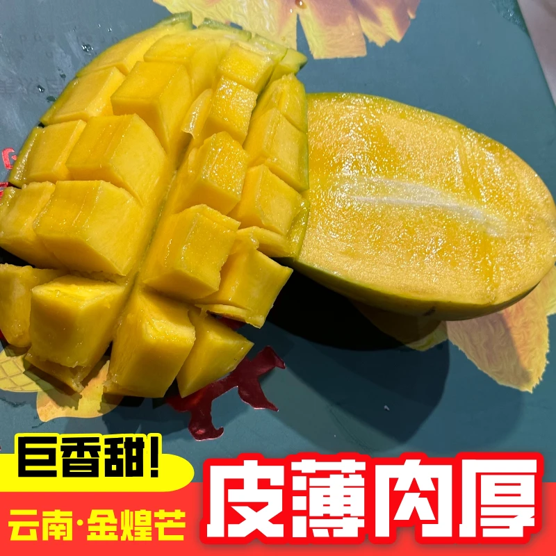 【果农发货】云南金煌芒果园直采新鲜现摘软糯香甜超值实惠装批发