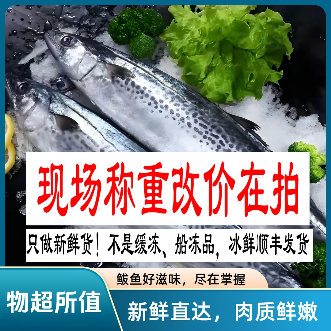 大连杏树屯【大鲅鱼】【大马鲛鱼】！刚下船！现场称重! (顺丰包邮）