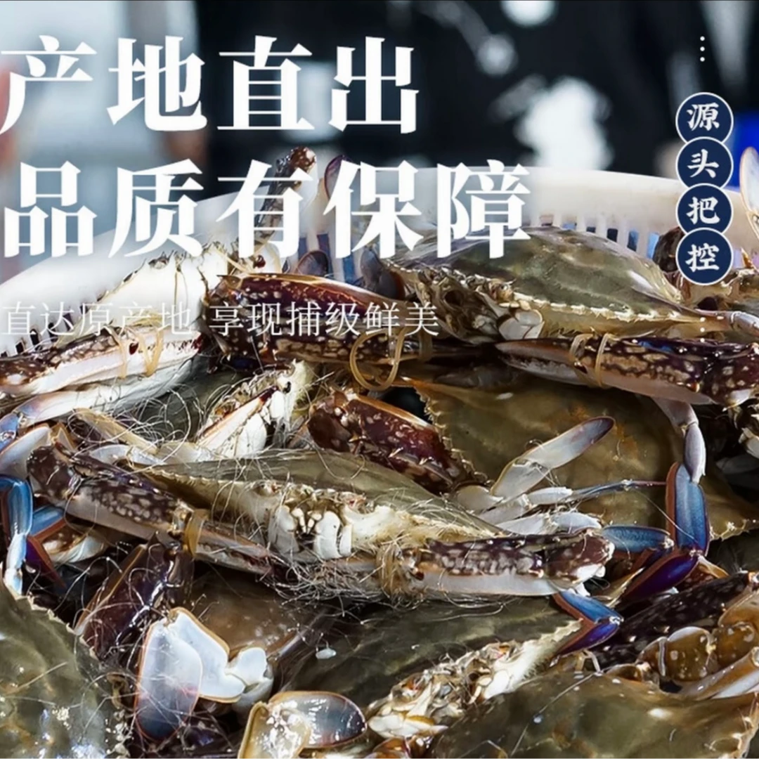 2025年开海尝鲜 【保鲜不保活】梭子蟹3斤装【约9-12只，单只2-3两】梭子蟹同城