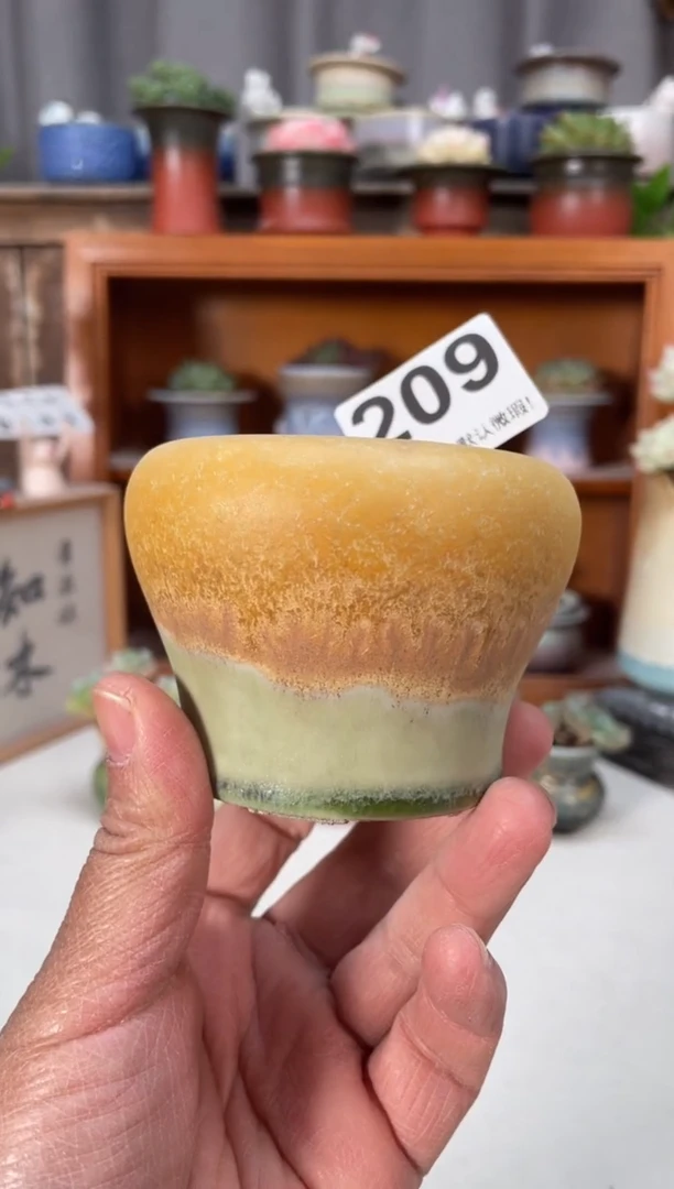 瓷片209知木小芳花盆编号