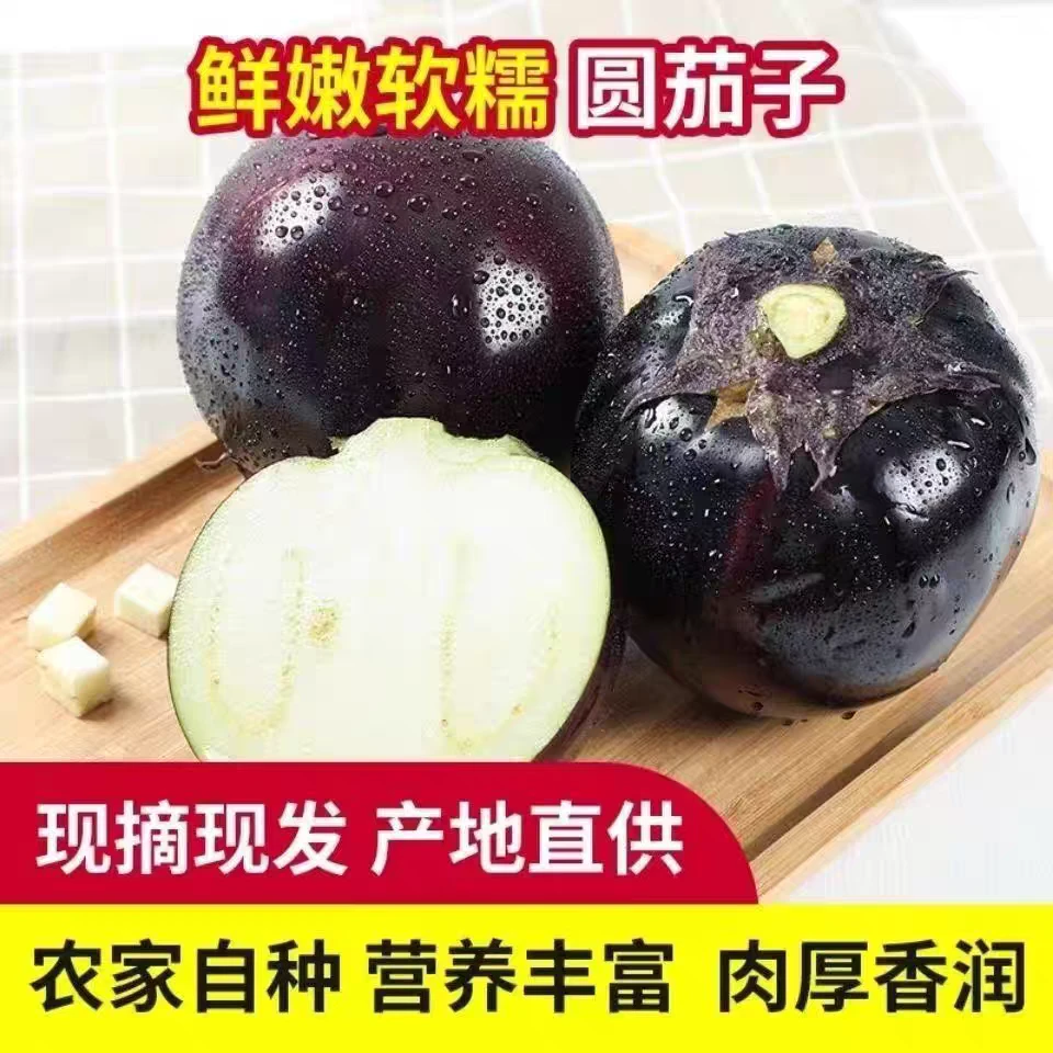 新鲜圆茄子紫茄子现摘北方茄子整箱时令蔬菜素菜不催熟鲜嫩包邮
