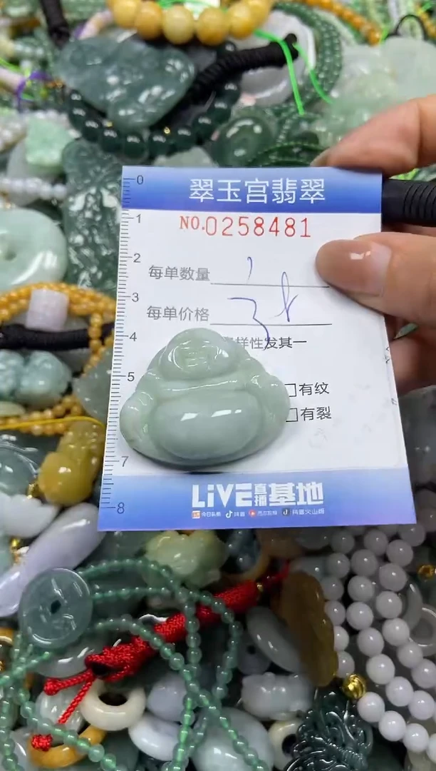 颈饰未镶嵌翡翠闪购C0258481