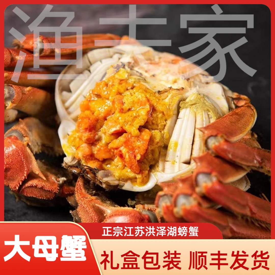 【2两活蟹全母蟹】精品大闸蟹10只精挑品质洪泽湖螃蟹