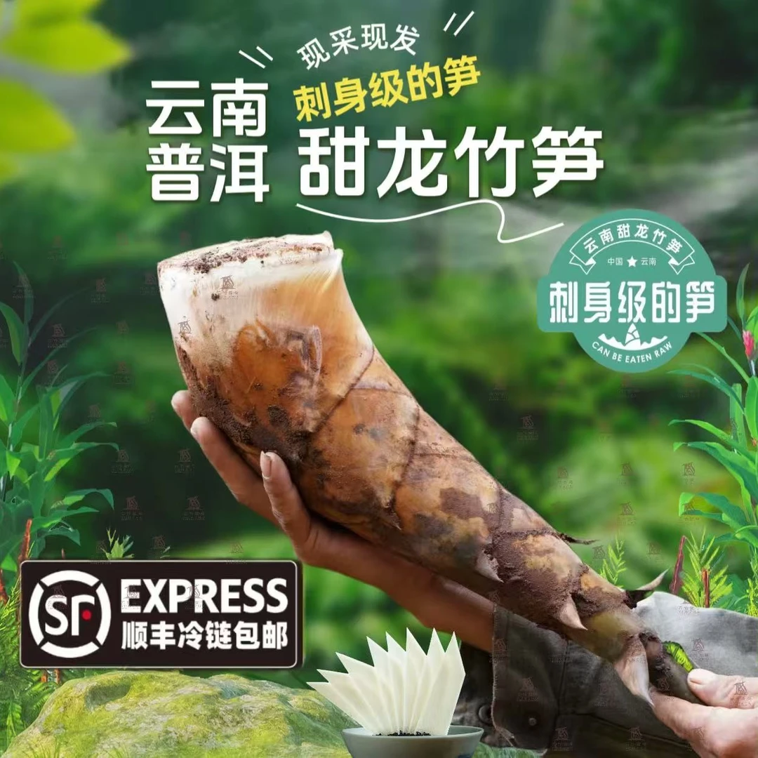 【顺丰冷链】云南普洱新鲜带壳甜笋甜龙竹笋水果刺身笋整箱