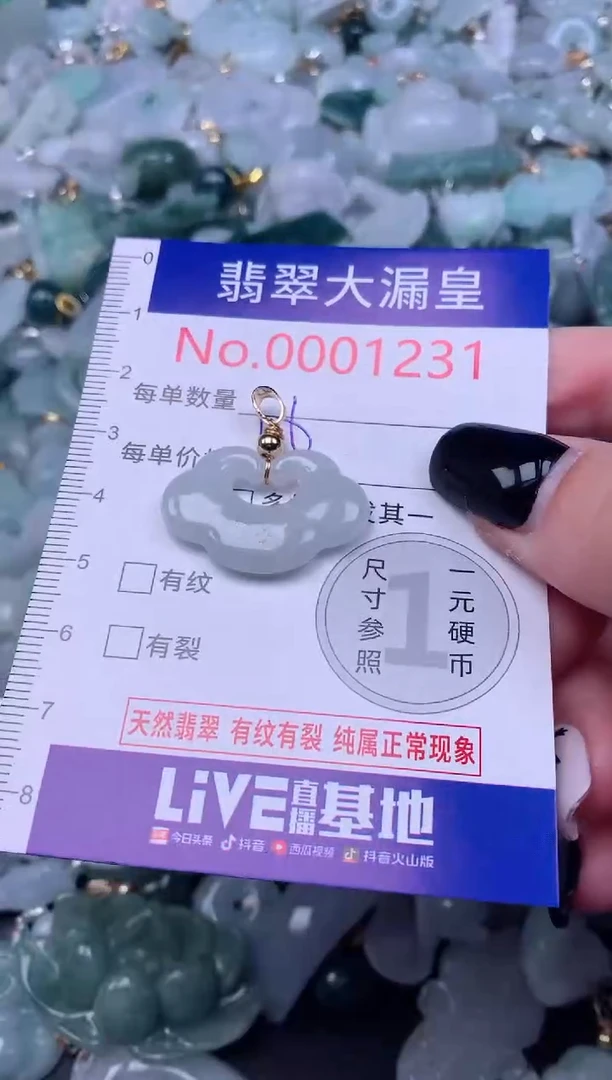 颈饰未镶嵌翡翠1231