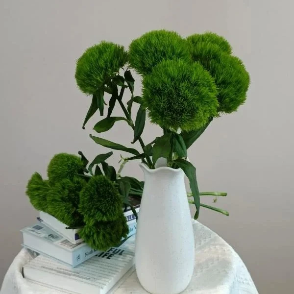 【新疆鲜花次日达】绿毛球5枝装-花鲜达家居养花插花新疆生活鲜花全场两单包邮送货上门今天拍明天
