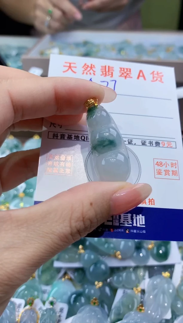 颈饰未镶嵌翡翠天然翡翠A货挂件